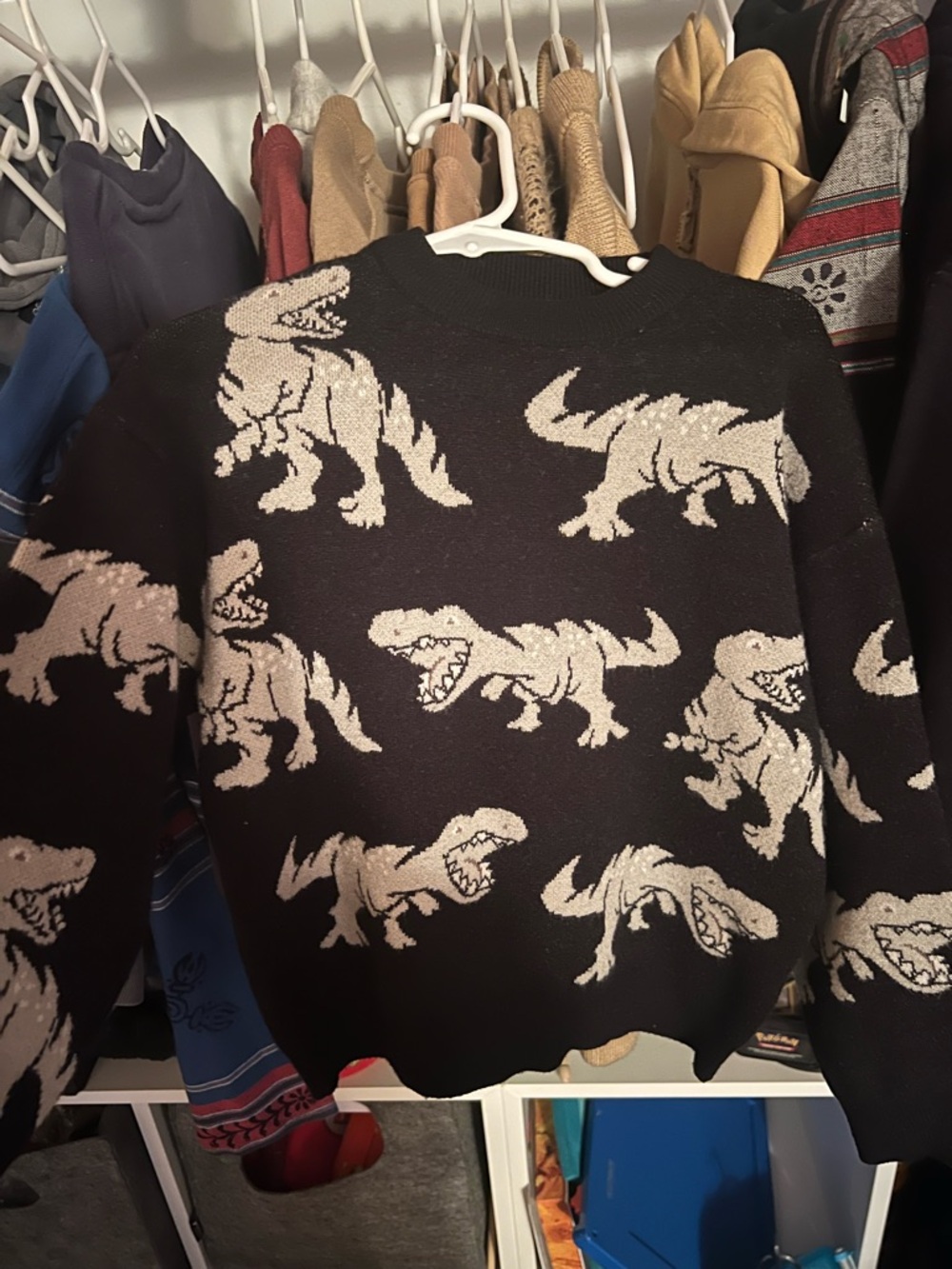 Zara Black Crewneck Sweater with Cream Dinosaur Pattern
